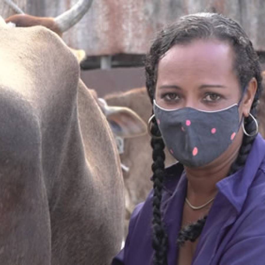 Yonaiki Hernández Reyes: mujer valiente y campesina dispuesta (+ Fotos y Audio)