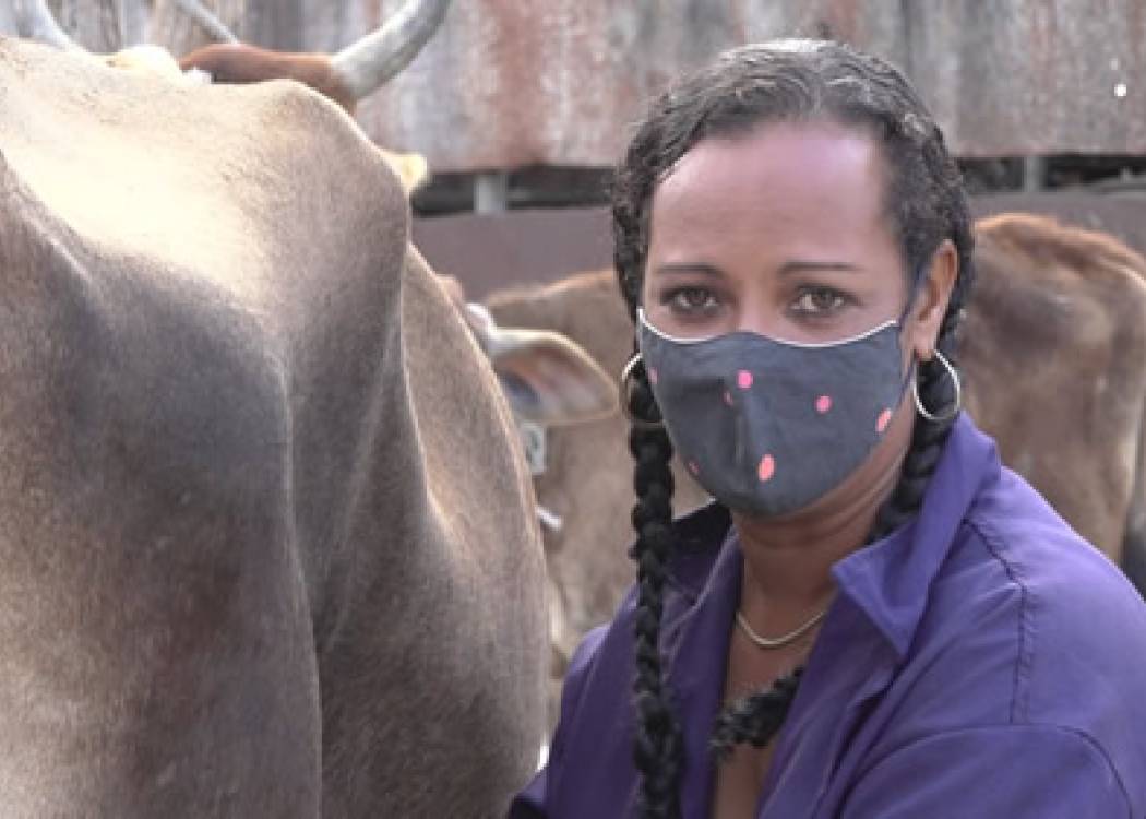 Yonaiki Hernández Reyes: mujer valiente y campesina dispuesta (+ Fotos y Audio)