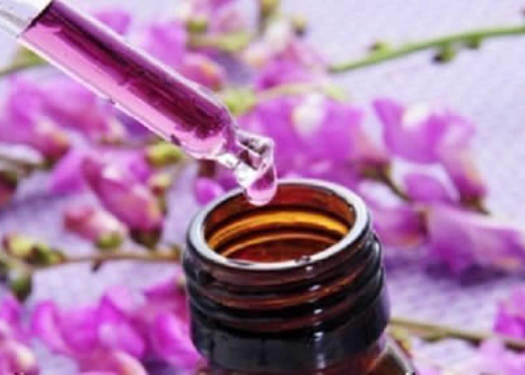 La Medicina Natural y Tradicional, alternativa bien aceptada por los cubanos