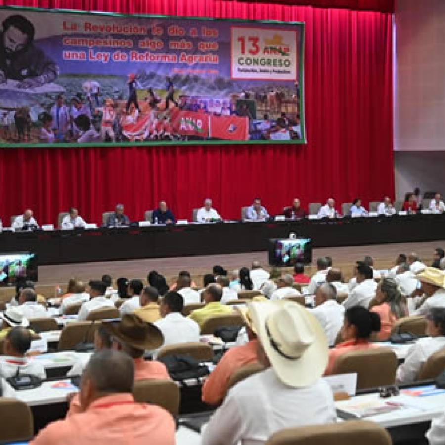 Miguel Díaz-Canel exhorta a incrementar producción agropecuaria en Cuba