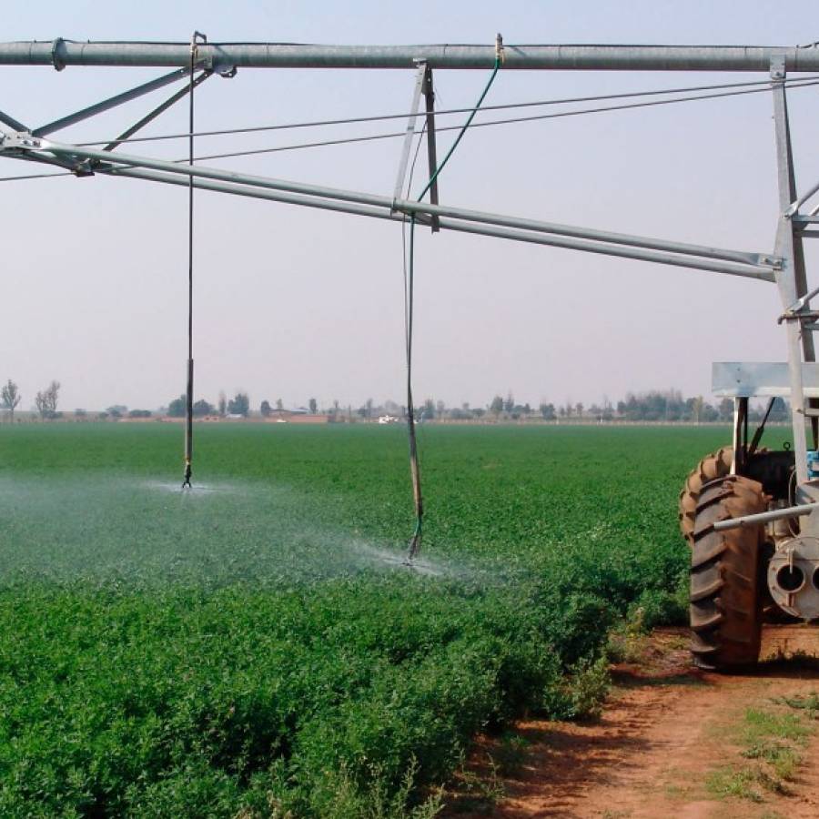 Cooperación italiana beneficia producción agropecuaria en Cuba