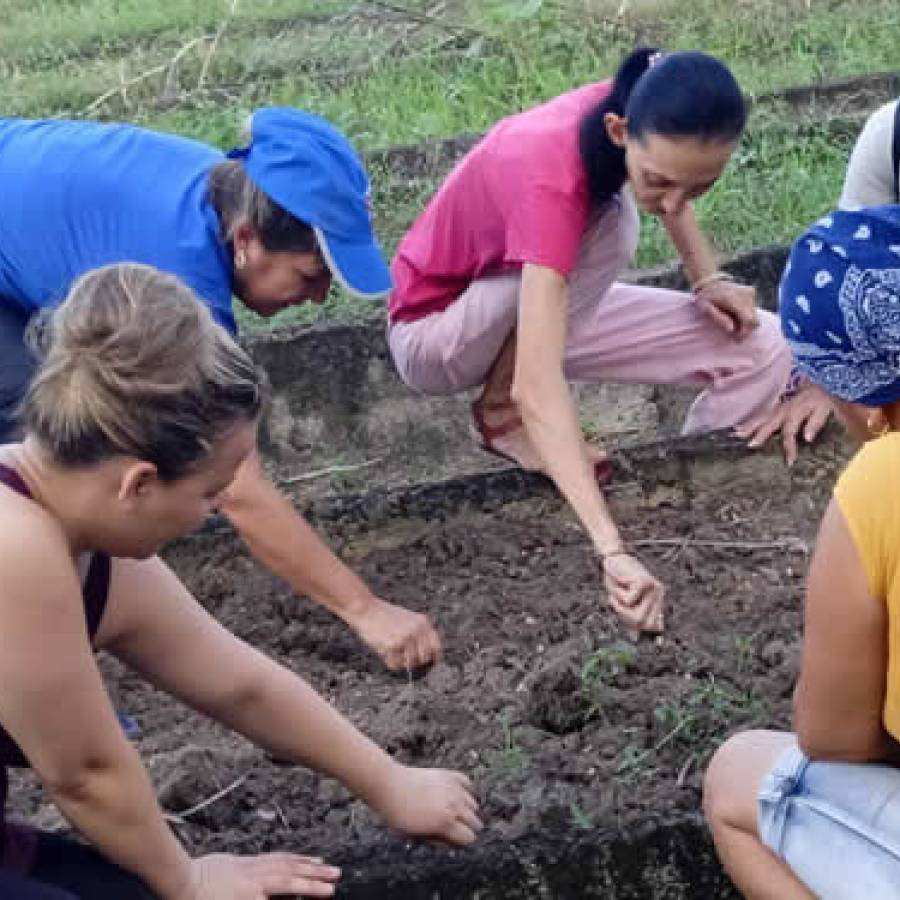 La mujer cubana, fiel defensora de su tiempo
