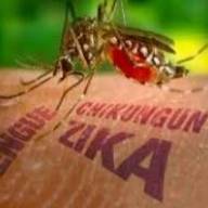 Conoce los arbovirus: dengue, zika y chikungunya