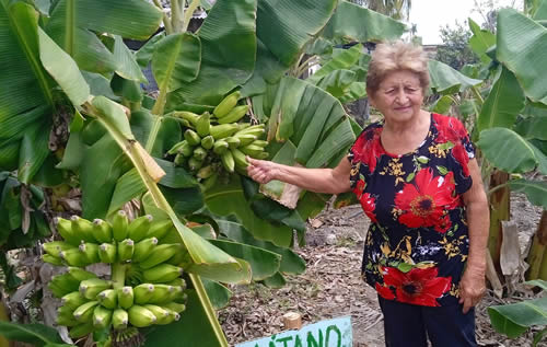 La agroecología es una práctica que llegó para quedarse.
