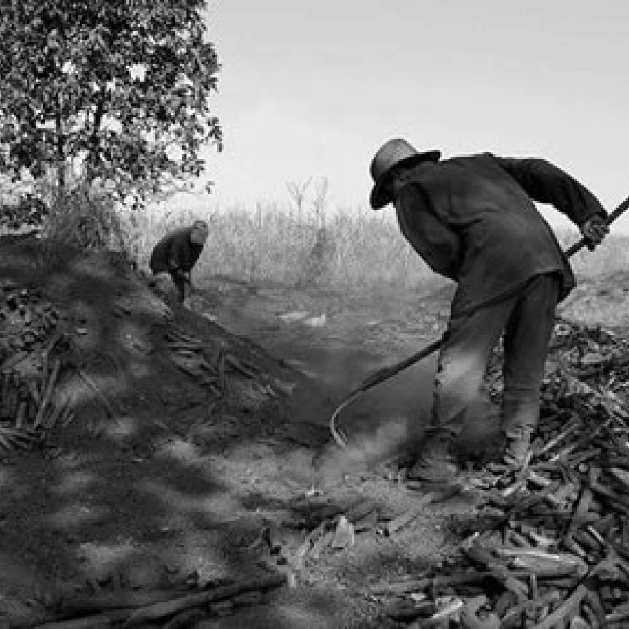 Hacedores de carbón en Nuevitas