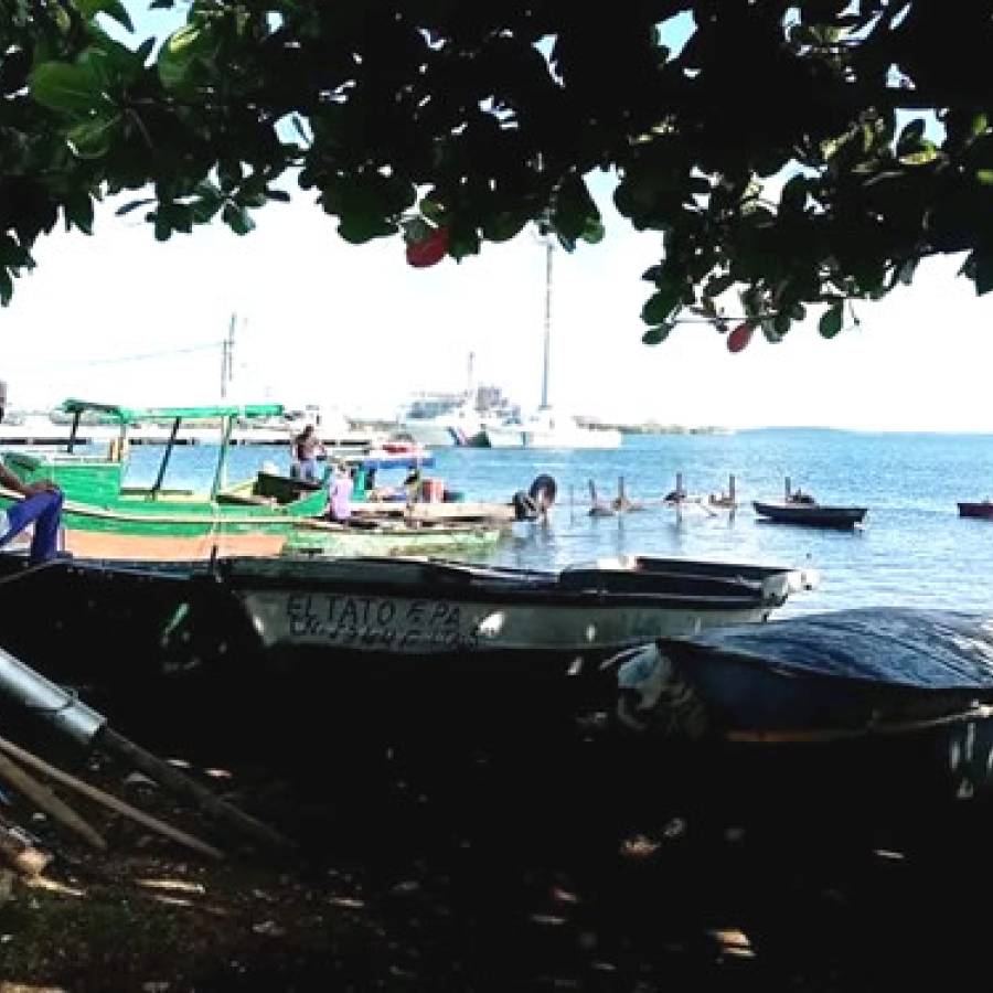 Protección de las costas cubanas, objetivo popular (+ Audio)