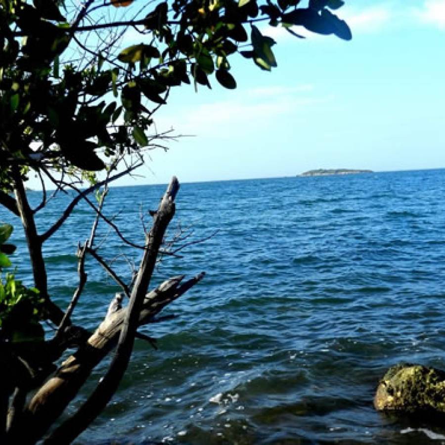 Cuidemos al planeta Tierra