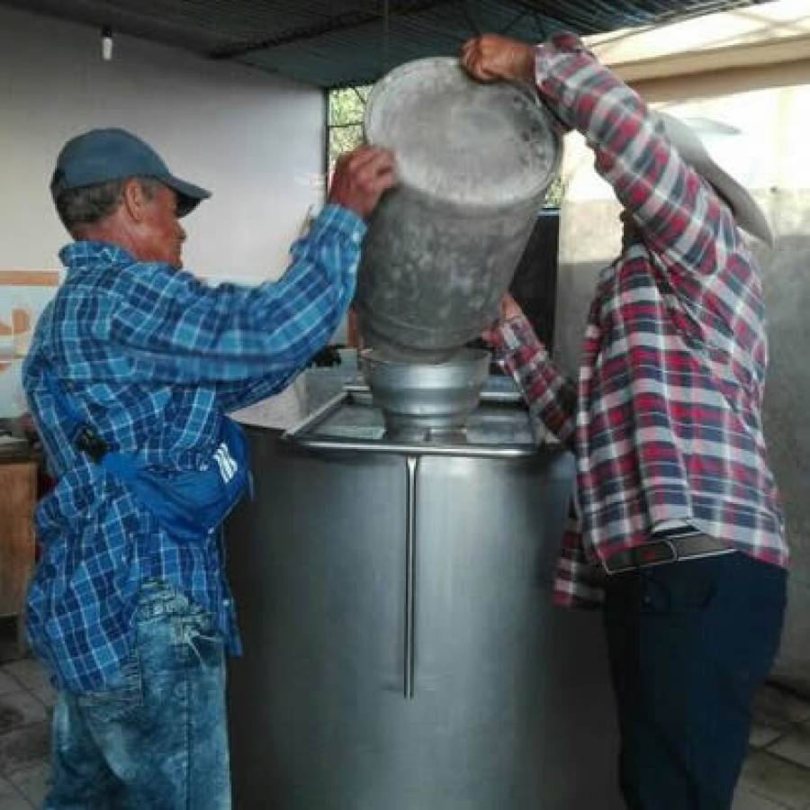El cumplimiento de la producción de leche en Camagüey sigue en apuros