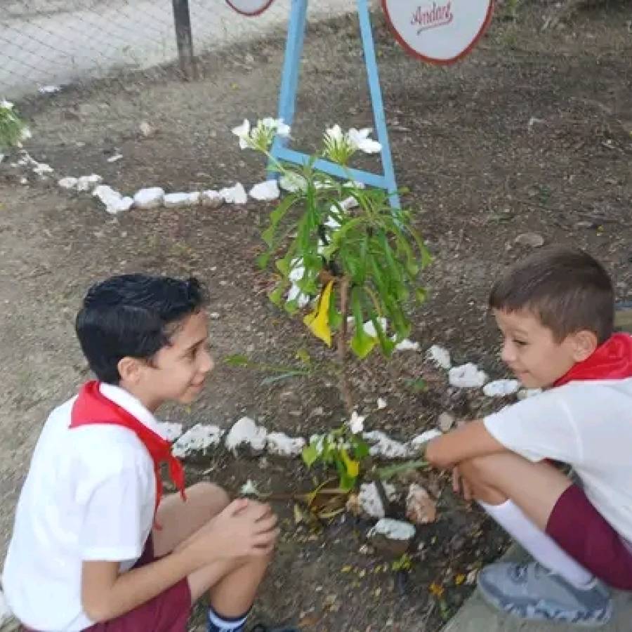 Estudiantes de Nuevitas participan en el cuidado del medio ambiente