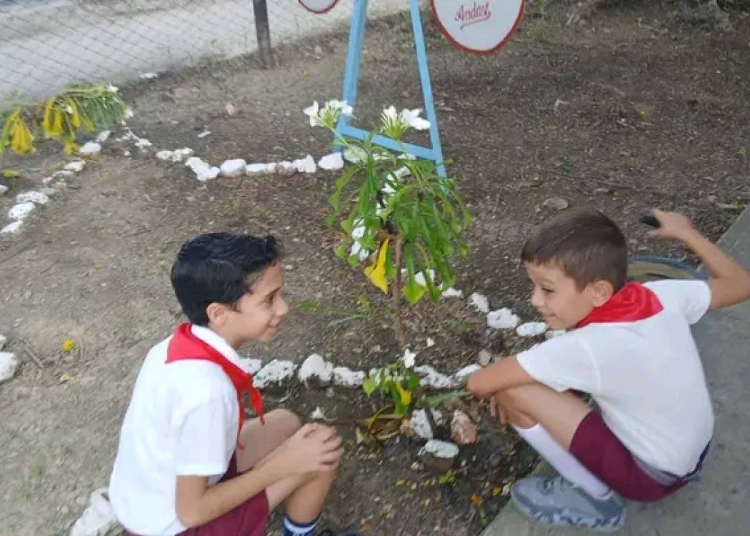 Estudiantes de Nuevitas participan en el cuidado del medio ambiente