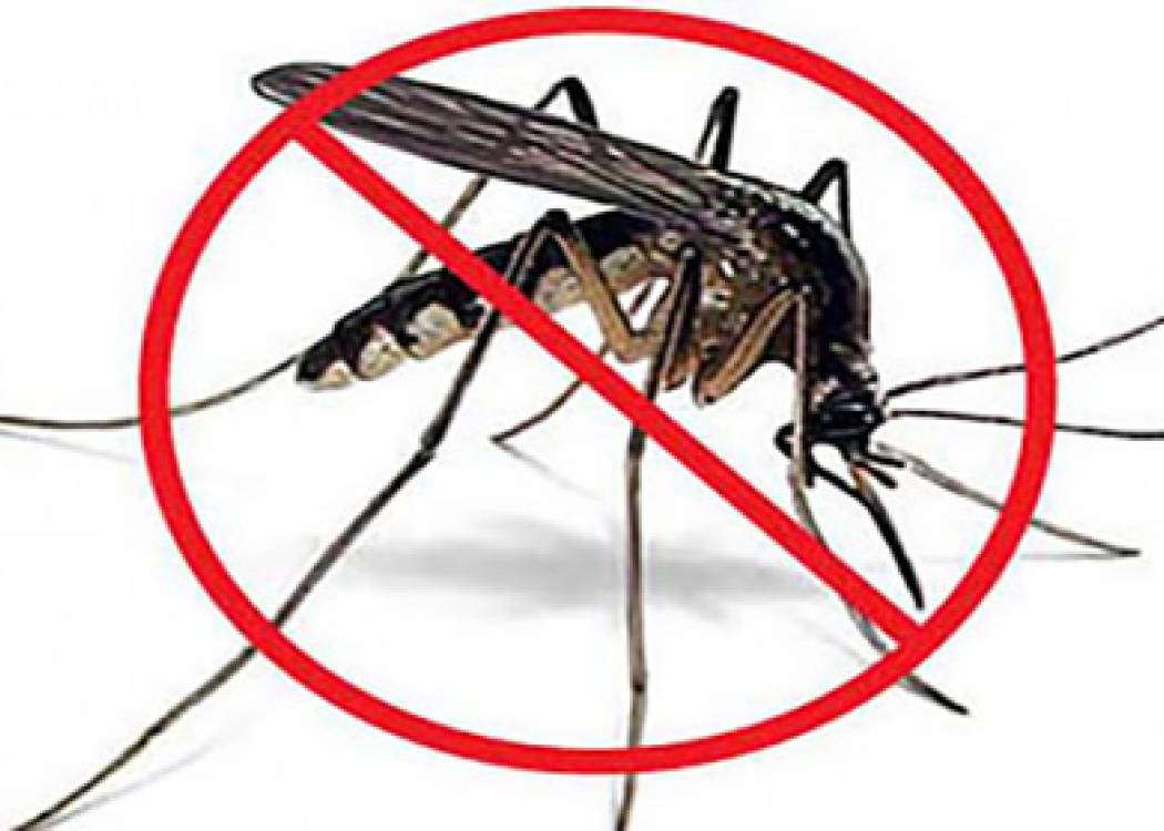 Contra los mosquitos todo vale