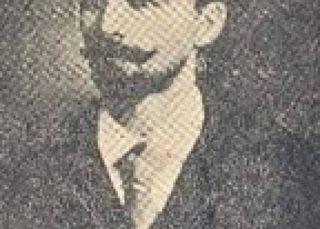 Oscar Primelles Cisneros, joven patriota mambí (+Fotos)