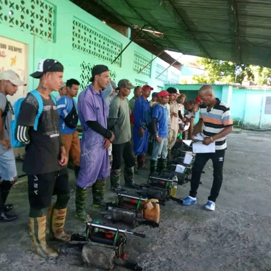 Amplio accionar en Nuevitas para eliminar al mosquito Aedes aegypti (+ Fotos)