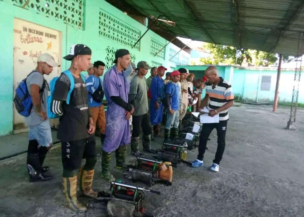 Amplio accionar en Nuevitas para eliminar al mosquito Aedes aegypti (+ Fotos)