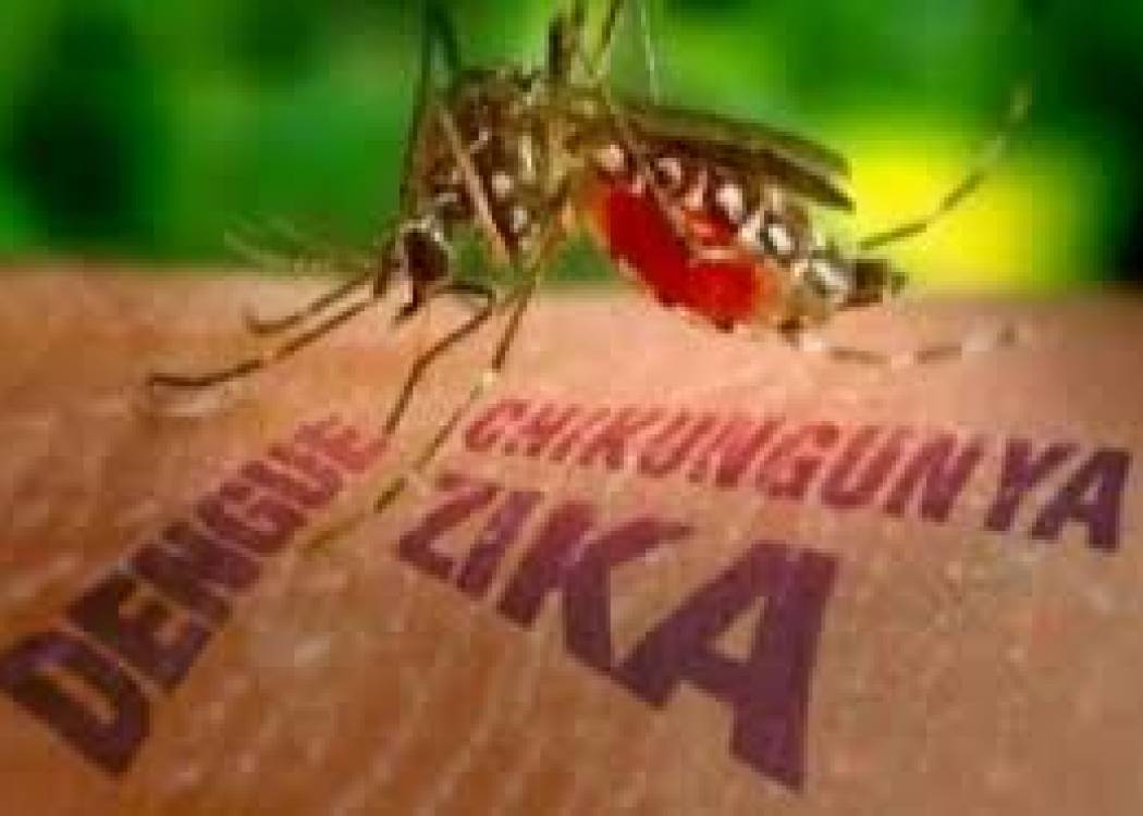 Aconsejan en Nuevitas contrarrestar la arbovirosis con la unidad de todos