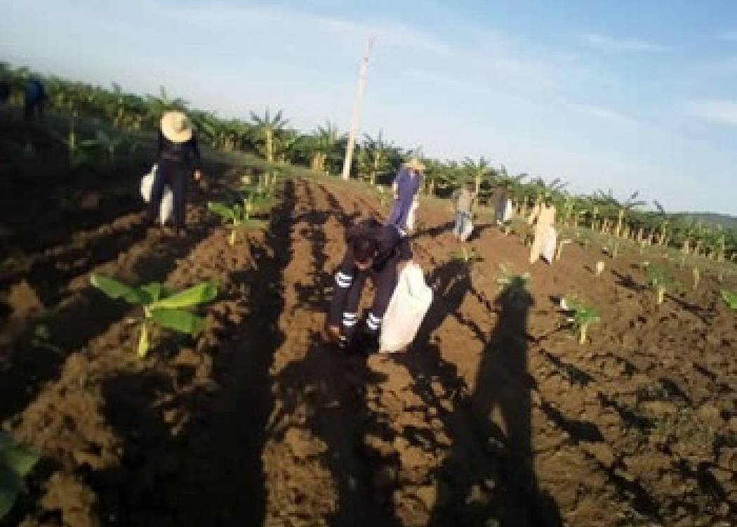 Analizan cumplimiento de  negociación con campesinos de Nuevitas