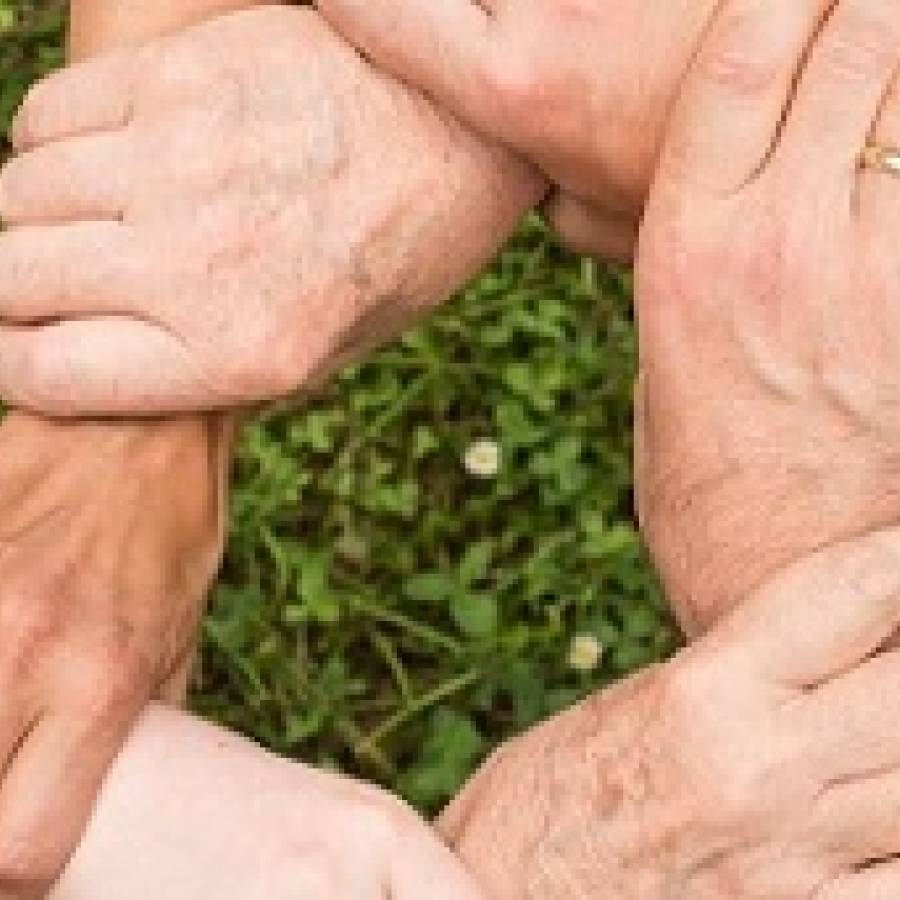 Solidaridad: un valor común en los cubanos