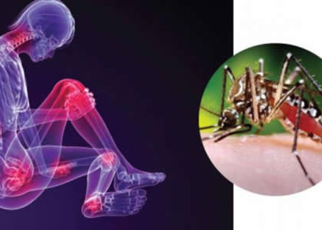 Ofrecen en Nuevitas atención especializada a pacientes con secuelas del chikungunya