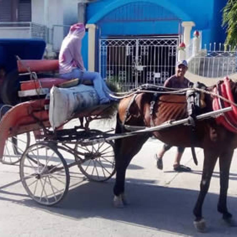 Los coches de caballos en Nuevitas, tradición que causa asombro