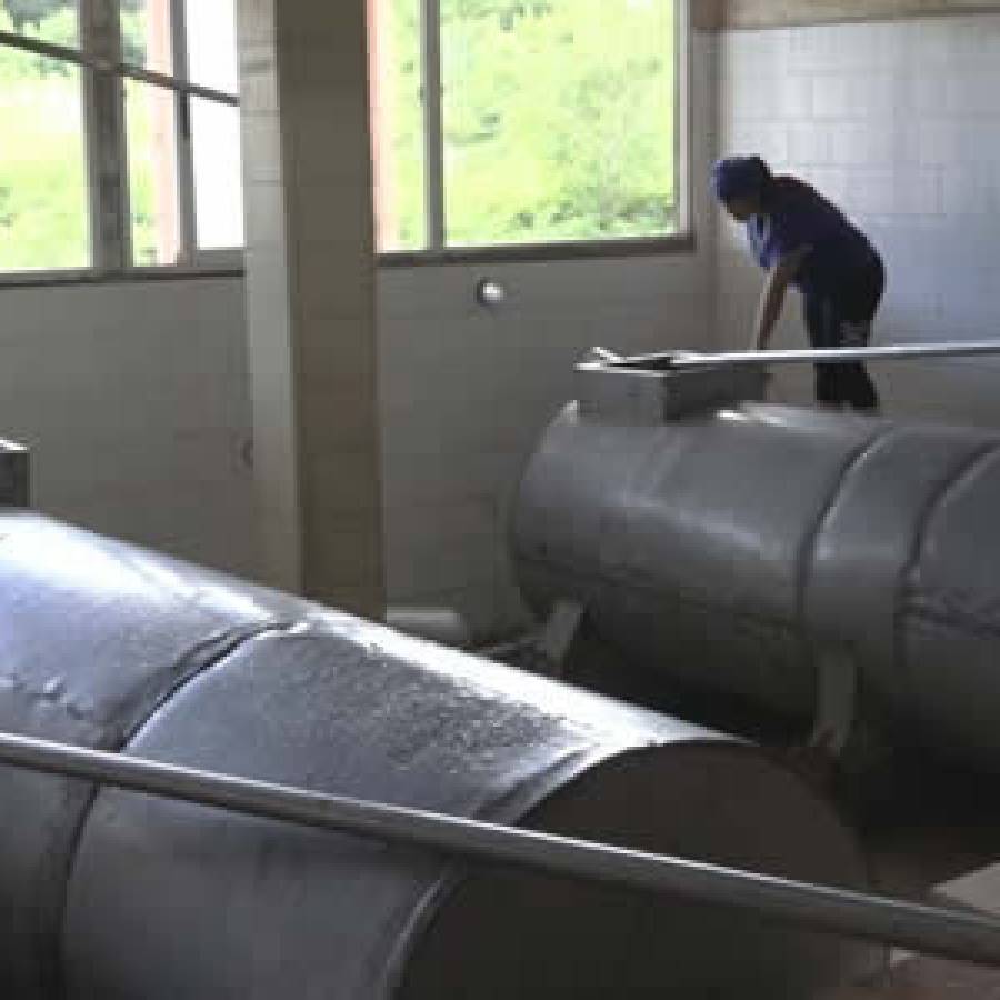 Adoptan alternativas productivas en Combinado Lácteo de Nuevitas