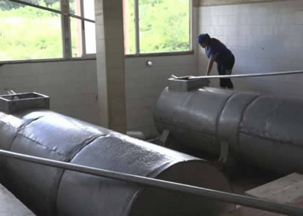 Adoptan alternativas productivas en Combinado Lácteo de Nuevitas