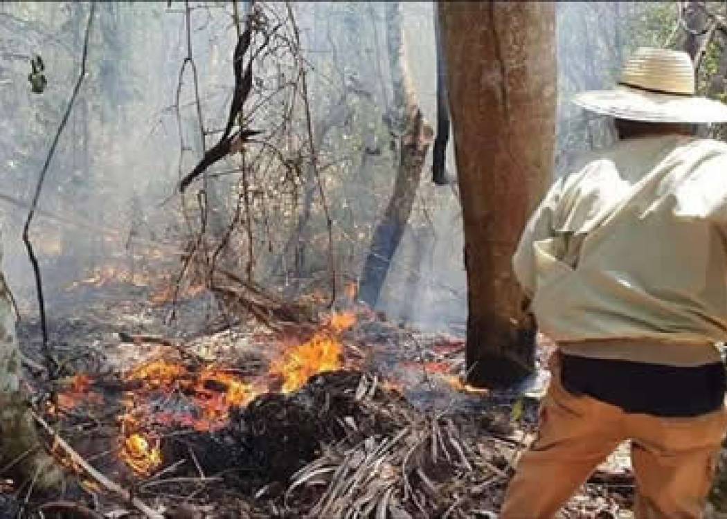 Ante la necesidad orientan medidas para evitar incendios forestales