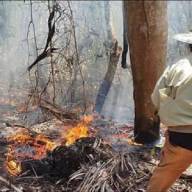 Ante la necesidad orientan medidas para evitar incendios forestales