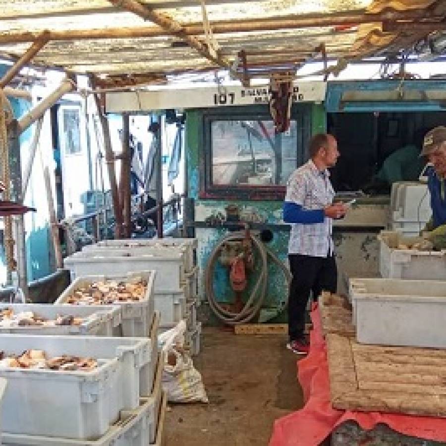 Empresa Pesquera Industrial de Nuevitas enfila positivamente sus proas para capturas de especies (+ Fotos)