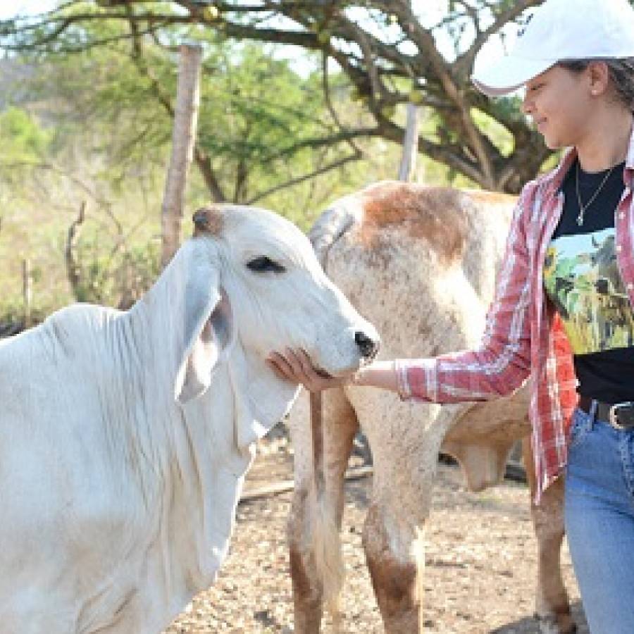 Responsabilidad ciudadana: clave para el crecimiento agropecuario en Camagüey