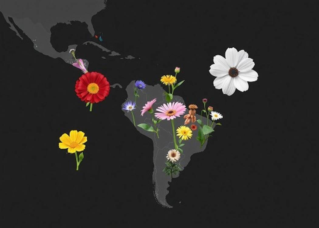 Ensayo martiano Nuestra América: la acción solidaria de los pueblos
