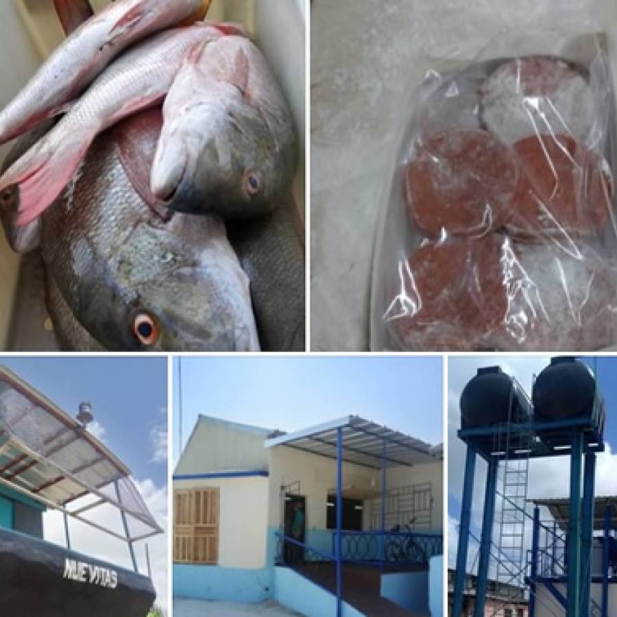 Empresa Pesquera de Nuevitas mantiene su quehacer productivo pese a crisis energética (+ Audio)