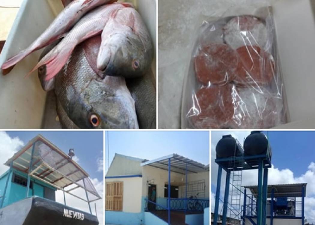 Empresa Pesquera de Nuevitas mantiene su quehacer productivo pese a crisis energética (+ Audio)