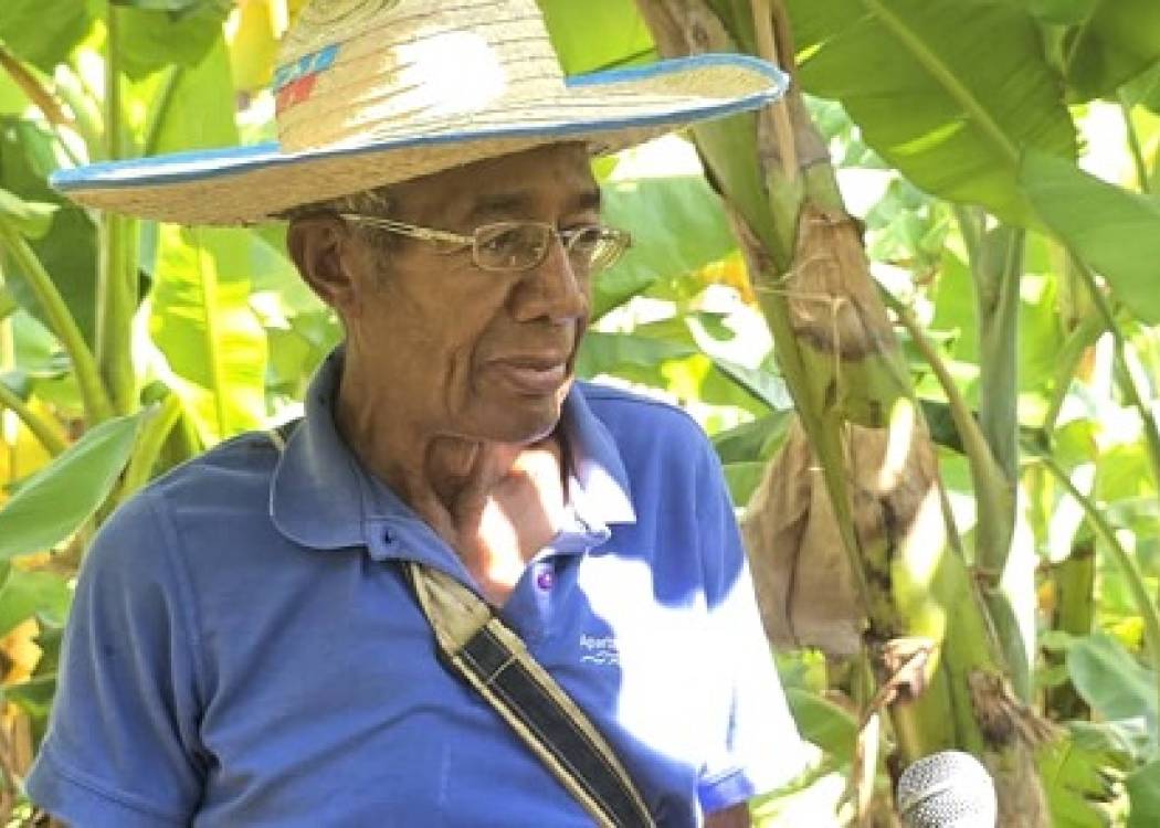 Ángel Cabrera Carrión, longevo que hace producir la tierra en comunidad de Nuevitas (+ Audio)