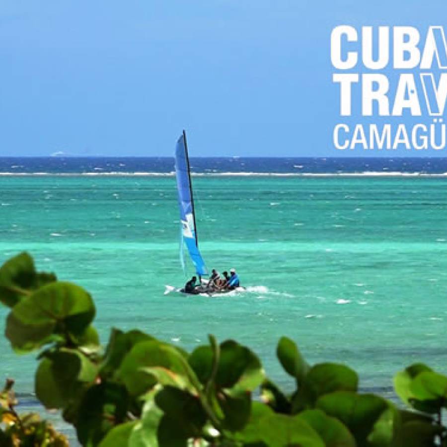 Cuba y su compromiso en el Día Mundial del Medio ambiente