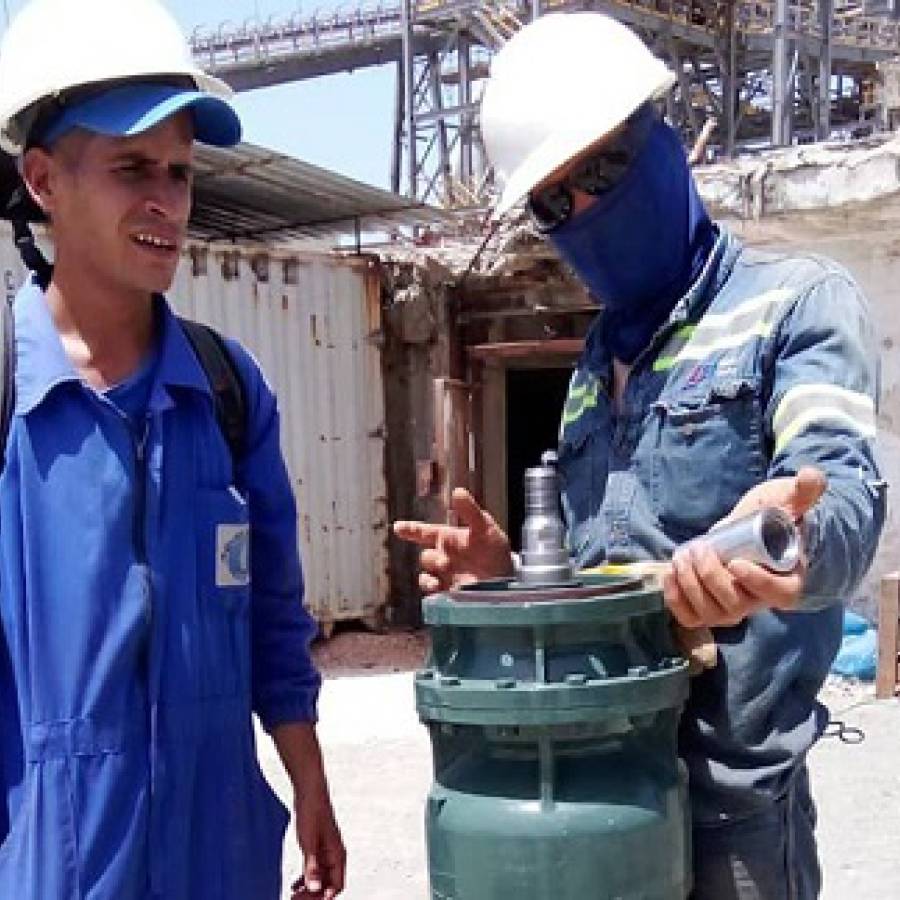 Estrategia de desarrollo local: el camino hacia la sostenibilidad en Nuevitas (+ Audio)