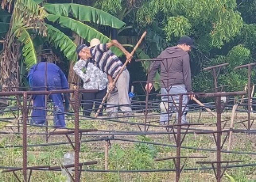 Nuevitas honra a Fidel en su centenario (+ Post)
