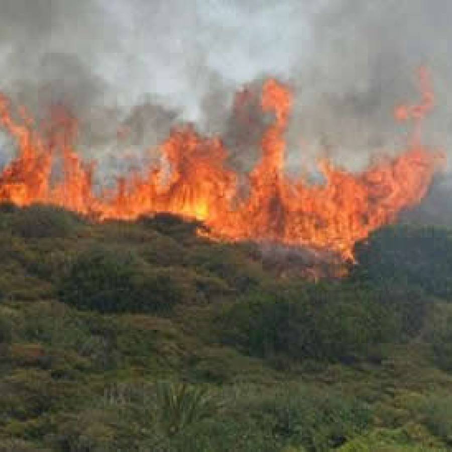 El planeta en alerta: incendios, olas de calor y océanos en crisis