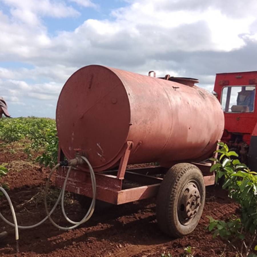 Con nuevas normas Cuba consolida pasos hacia soberanía alimentaria