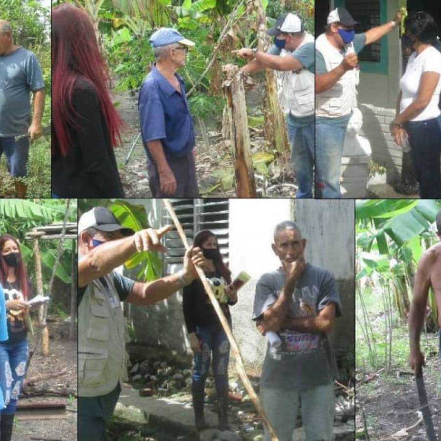 Camagüey celebra el Día de la Agroecología con amplia jornada de actividades