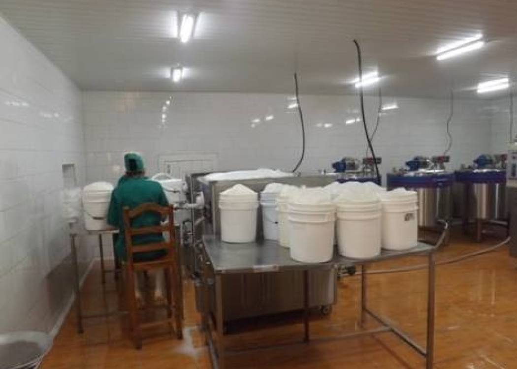 Lácteos en Nuevitas: entre los retos productivos y el compromiso local (+ Audio)