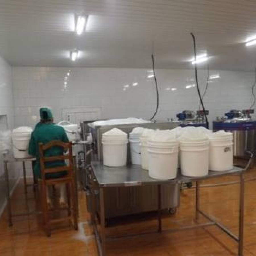 Encadenamiento recupera producciones lácteas en Nuevitas, Camagüey 