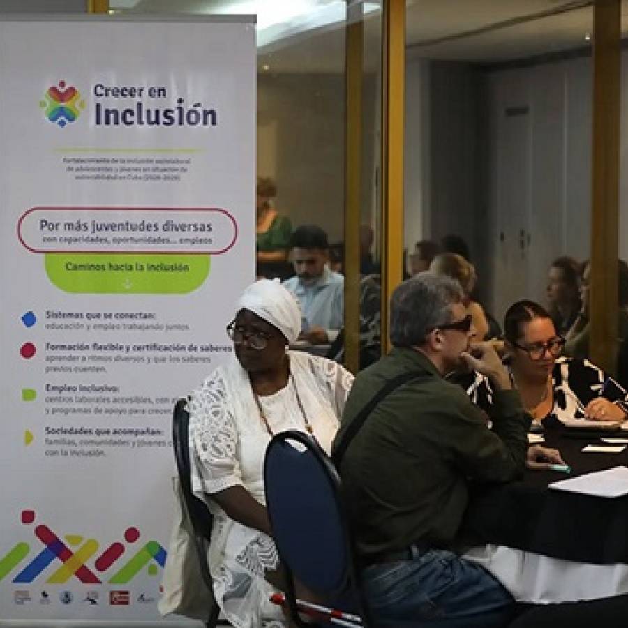 Presenta UNICEF Cuba proyecto de inclusión sociolaboral