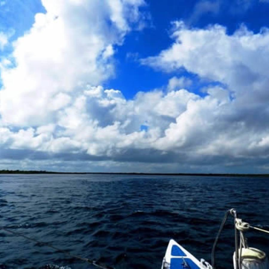 Playa Bonita: Sitio Esperanza para la biodiversidad marina en Camagüey (+ Video y Post)