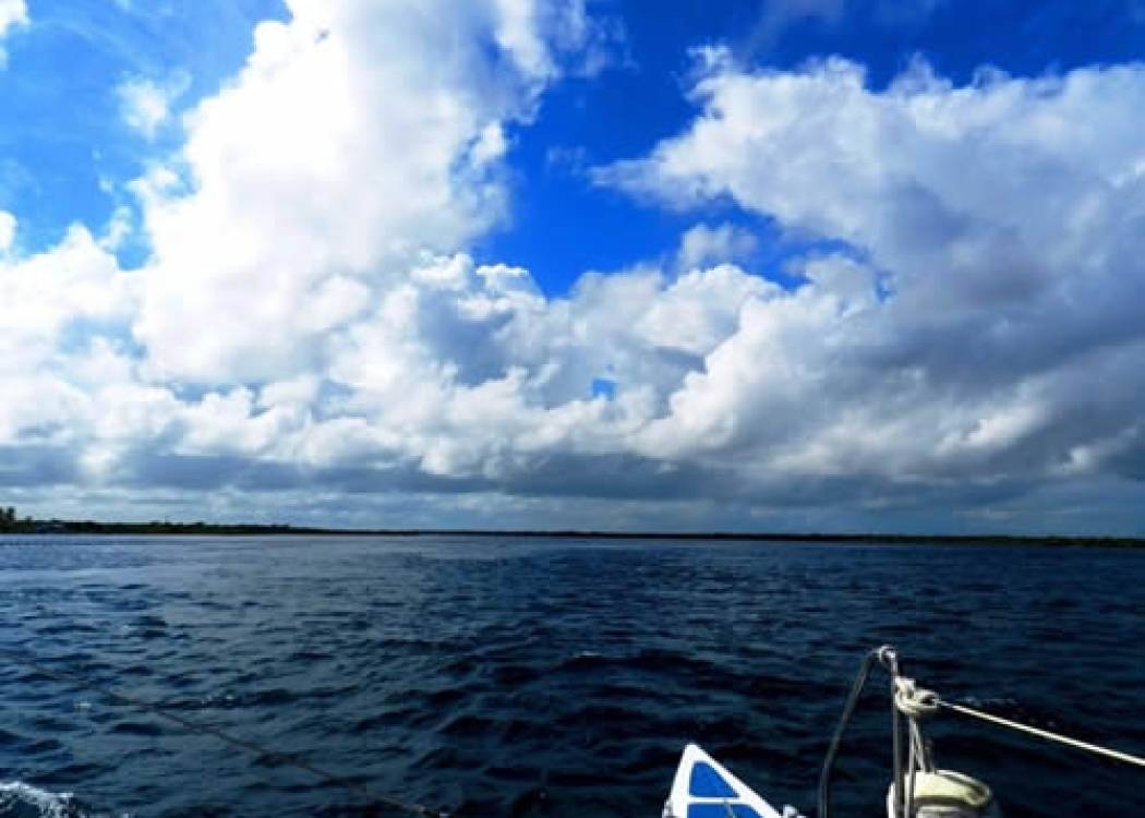 Playa Bonita: Sitio Esperanza para la biodiversidad marina en Camagüey (+ Video y Post)