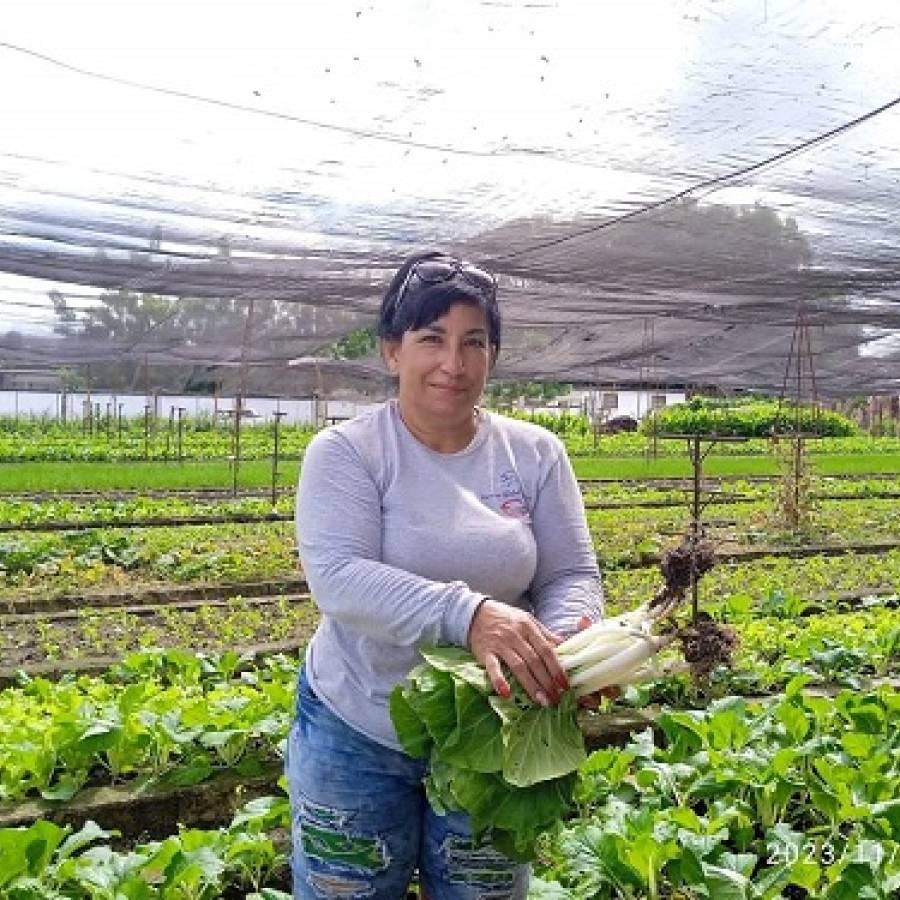 FAO distingue a camagüeyana entre sus 100 Heroínas de la agricultura